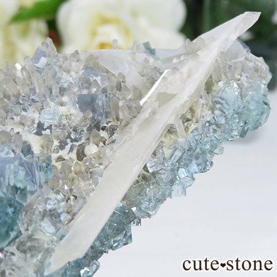  ʡʻ֥롼꡼ե饤Ȥθ 143gμ̿3 cute stone