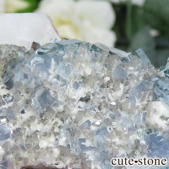  ʡʻ֥롼꡼ե饤Ȥθ 143gμ̿4 cute stone