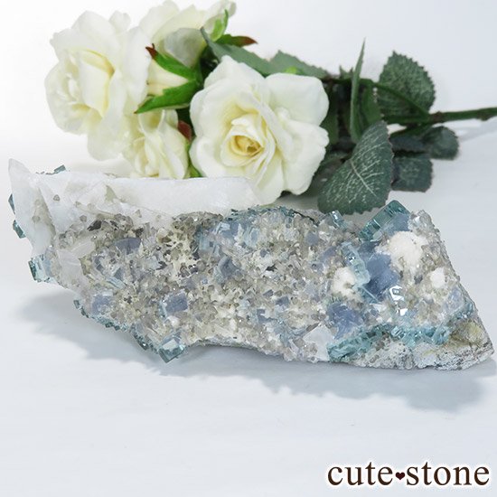  ʡʻ֥롼꡼ե饤Ȥθ 143gμ̿5 cute stone