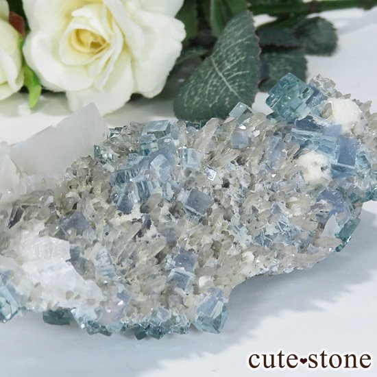  ʡʻ֥롼꡼ե饤Ȥθ 143gμ̿6 cute stone