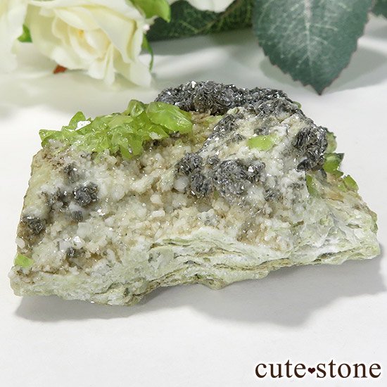 ѥ ɥ եդ 60gμ̿0 cute stone