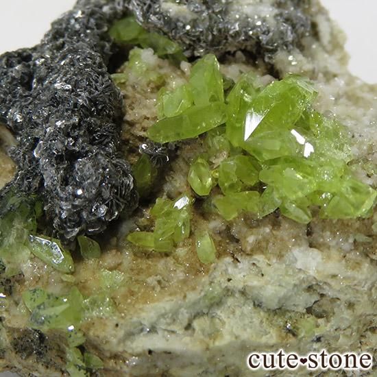 ѥ ɥ եդ 60gμ̿3 cute stone