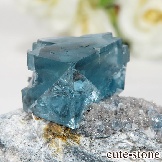  ʻ ֥롼ե饤ȤɸܡʸС57gμ̿0 cute stone