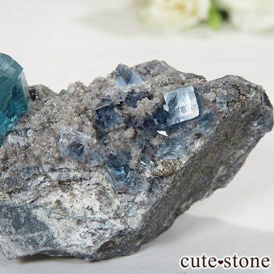  ʻ ֥롼ե饤ȤɸܡʸС57gμ̿3 cute stone