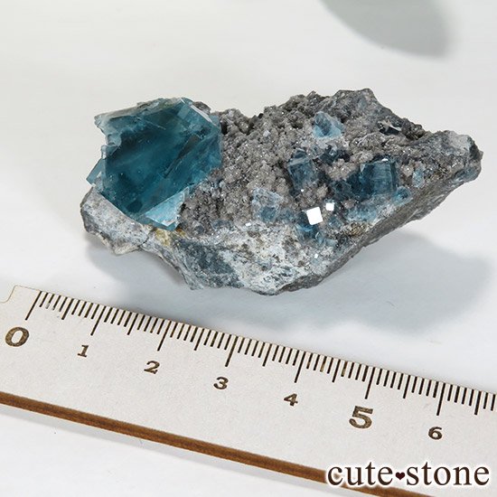  ʻ ֥롼ե饤ȤɸܡʸС57gμ̿4 cute stone
