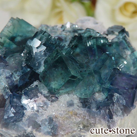 ʻ ֥롼ե饤ȤɸܡʸС129gμ̿0 cute stone
