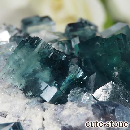  ʻ ֥롼ե饤ȤɸܡʸС129gμ̿2 cute stone