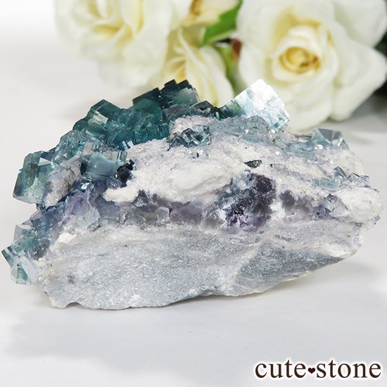  ʻ ֥롼ե饤ȤɸܡʸС129gμ̿3 cute stone