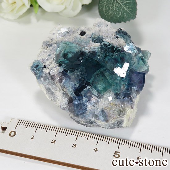 ʻ ֥롼ե饤ȤɸܡʸС129gμ̿5 cute stone