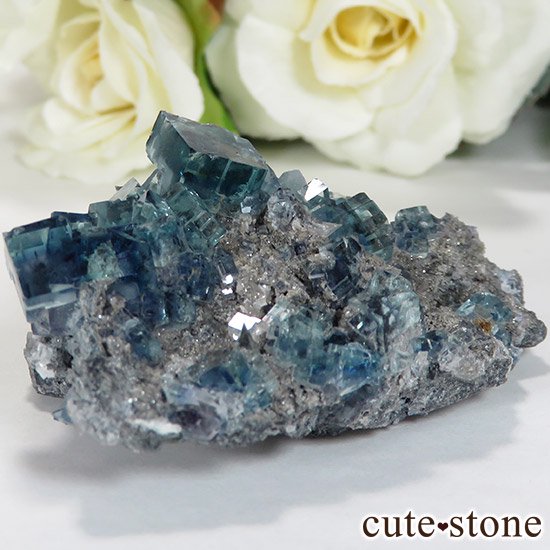  ʻ ֥롼ե饤ȤɸܡʸС36gμ̿0 cute stone