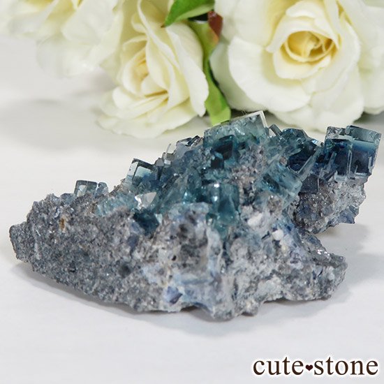  ʻ ֥롼ե饤ȤɸܡʸС36gμ̿1 cute stone