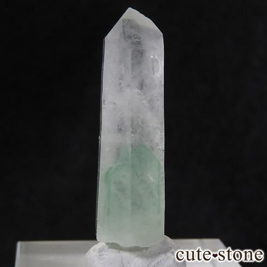 ꡼եȥ९ġʥȥġˤñ뾽ʸС3.1gμ̿0 cute stone