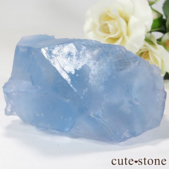  ʡʻ֥롼ե饤ȤȬη뾽μ̿0 cute stone