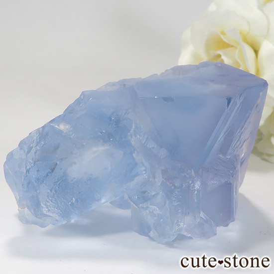  ʡʻ֥롼ե饤ȤȬη뾽μ̿1 cute stone