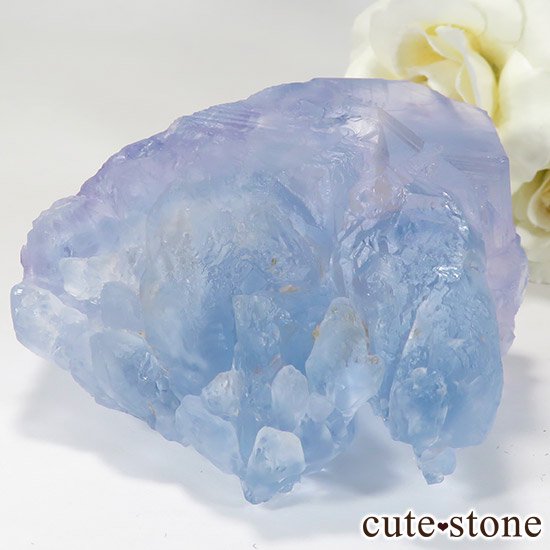  ʡʻ֥롼ե饤ȤȬη뾽μ̿2 cute stone