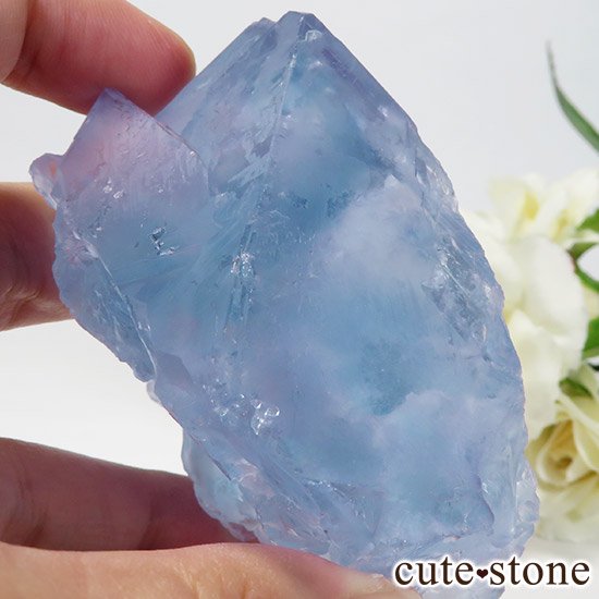  ʡʻ֥롼ե饤ȤȬη뾽μ̿3 cute stone