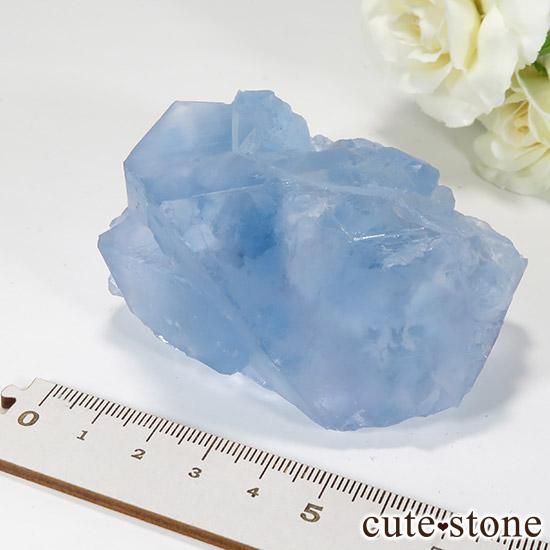  ʡʻ֥롼ե饤ȤȬη뾽μ̿7 cute stone