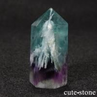 եե饤ȡʥ󥸥եˤΥݥåݥ 19gβ