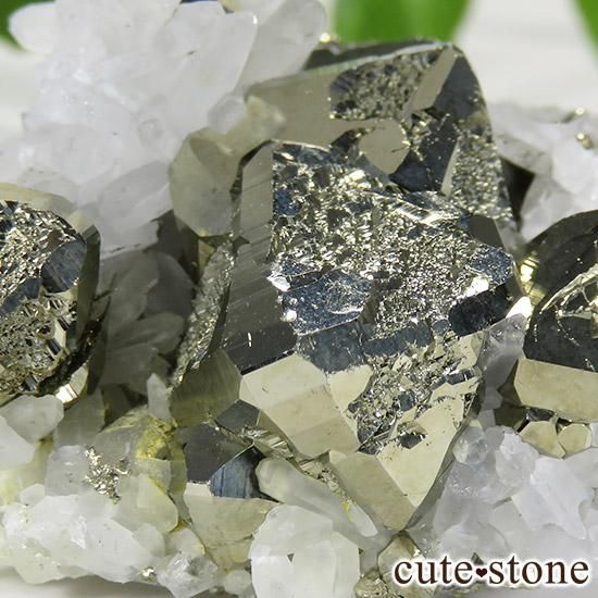 ڥ롼 󥵥ۻ ѥ饤ȡ徽Υ饹 45.9gμ̿1 cute stone