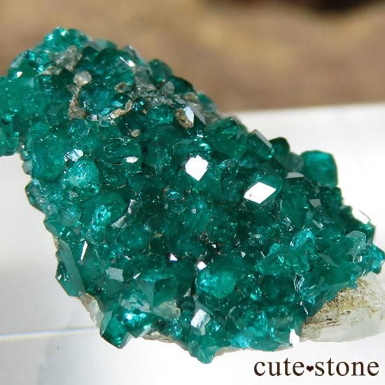 ե󻺤ΥץơθСʥ饹1.6gμ̿2 cute stone