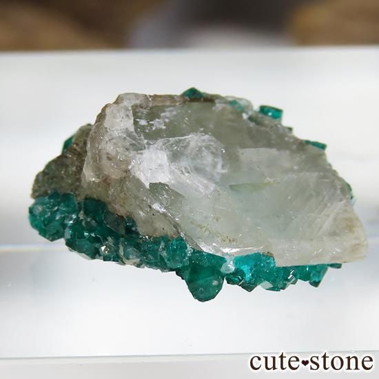 ե󻺤ΥץơθСʥ饹1.6gμ̿3 cute stone