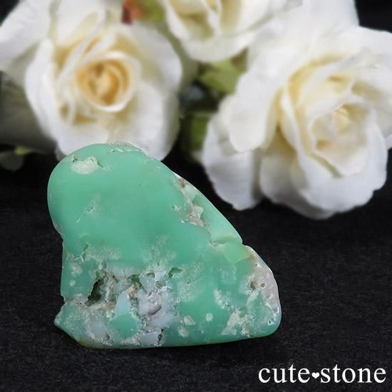 ȥꥢ ꥽ץ졼θ 25g