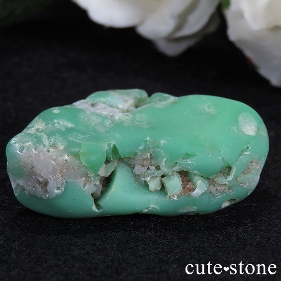 ȥꥢ ꥽ץ졼θ 25gμ̿1 cute stone