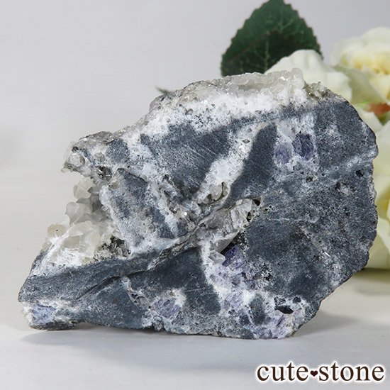  ʡʻѡץ֥롼ե饤Ȥθ 145gμ̿0 cute stone