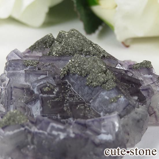 2ǯǰ ѥ饤ȥե饤Ȥθ 26gμ̿1 cute stone