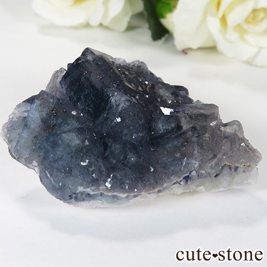 2ǯǰ ֥롼ե饤Ȥθ 55gμ̿0 cute stone