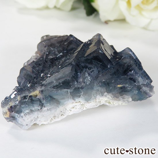 2ǯǰ ֥롼ե饤Ȥθ 55gμ̿1 cute stone