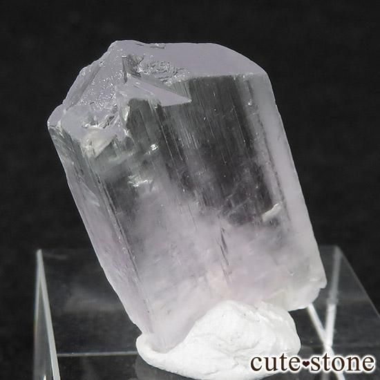 ĥȡҥǥʥȡʥݥ󡦥СˤθФμ̿2 cute stone