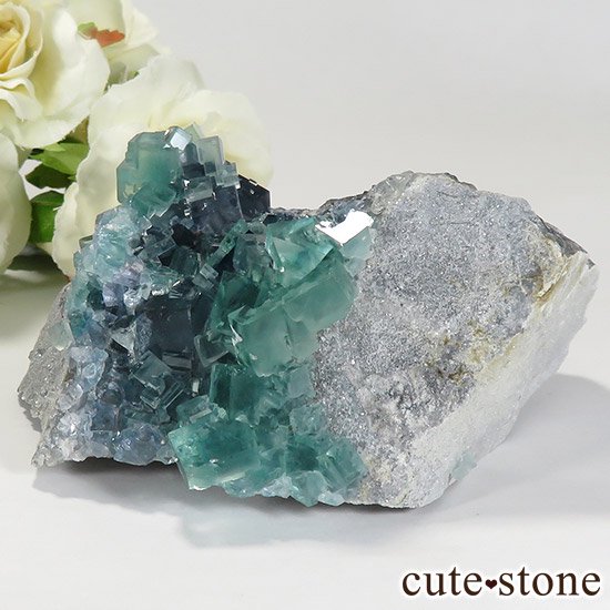  ʻ ֥롼꡼ե饤ȤɸܡʸС296gμ̿0 cute stone