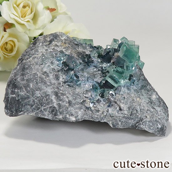  ʻ ֥롼꡼ե饤ȤɸܡʸС296gμ̿1 cute stone