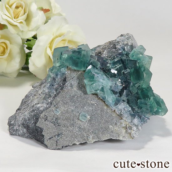  ʻ ֥롼꡼ե饤ȤɸܡʸС296gμ̿2 cute stone