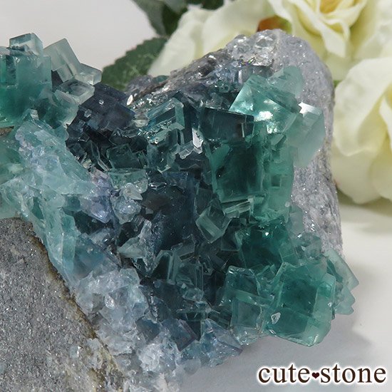  ʻ ֥롼꡼ե饤ȤɸܡʸС296gμ̿3 cute stone