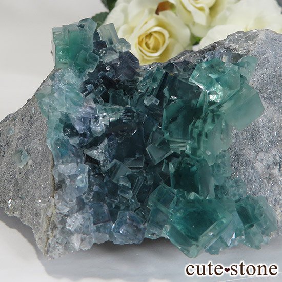  ʻ ֥롼꡼ե饤ȤɸܡʸС296gμ̿4 cute stone