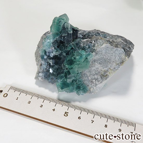  ʻ ֥롼꡼ե饤ȤɸܡʸС296gμ̿6 cute stone