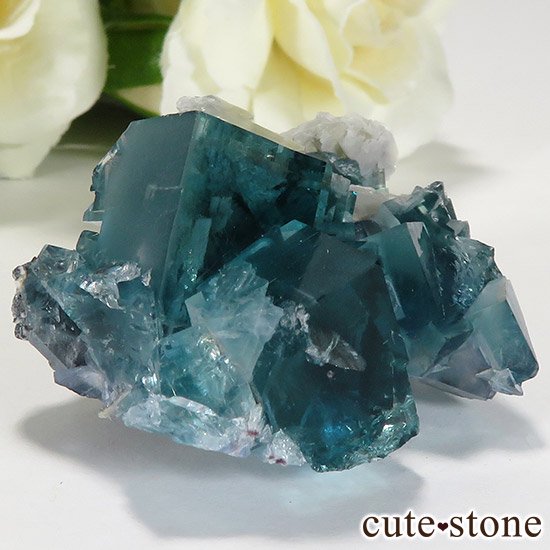  ʻ ֥롼꡼ե饤ȤɸܡʸС38.9gμ̿0 cute stone