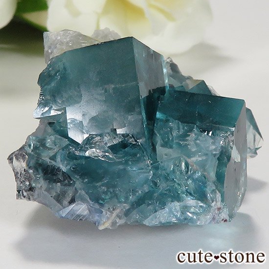  ʻ ֥롼꡼ե饤ȤɸܡʸС38.9gμ̿1 cute stone