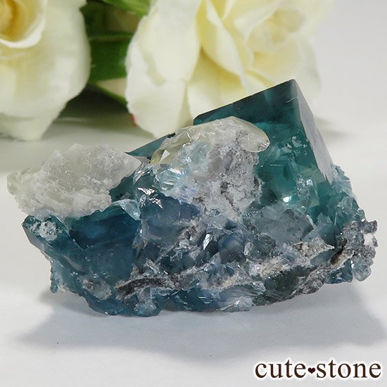  ʻ ֥롼꡼ե饤ȤɸܡʸС38.9gμ̿2 cute stone