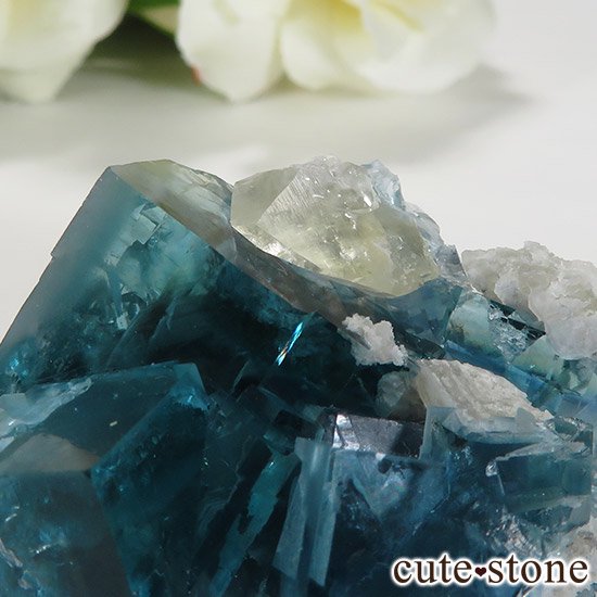  ʻ ֥롼꡼ե饤ȤɸܡʸС38.9gμ̿6 cute stone