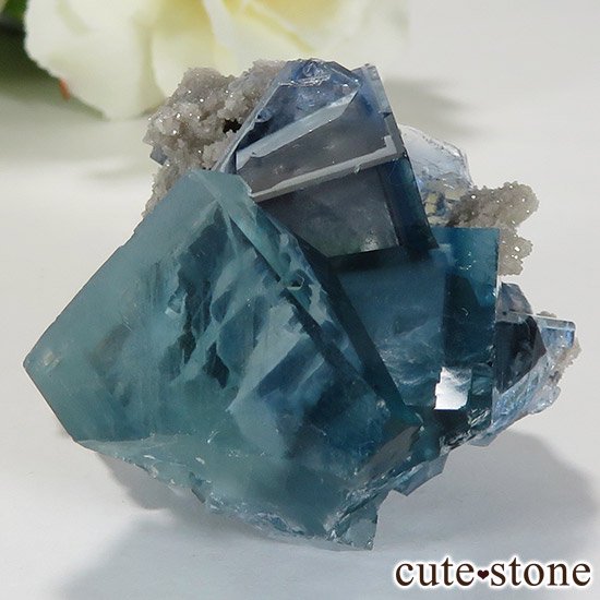  ʻ ֥롼꡼ե饤ȤɸܡʸС34.5gμ̿0 cute stone