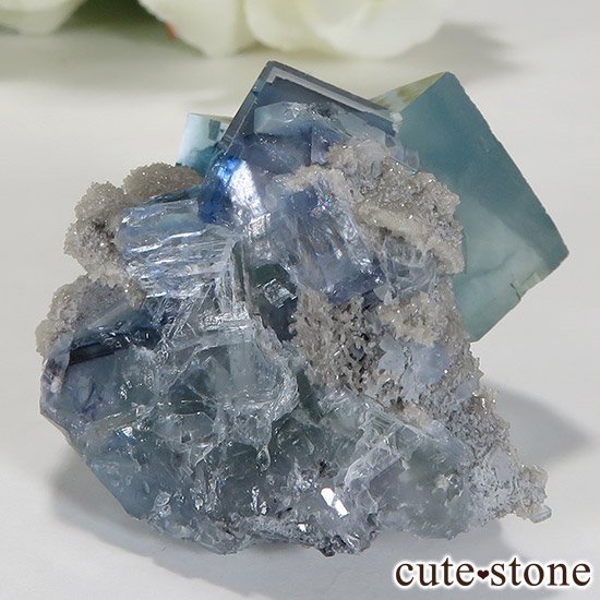  ʻ ֥롼꡼ե饤ȤɸܡʸС34.5gμ̿1 cute stone