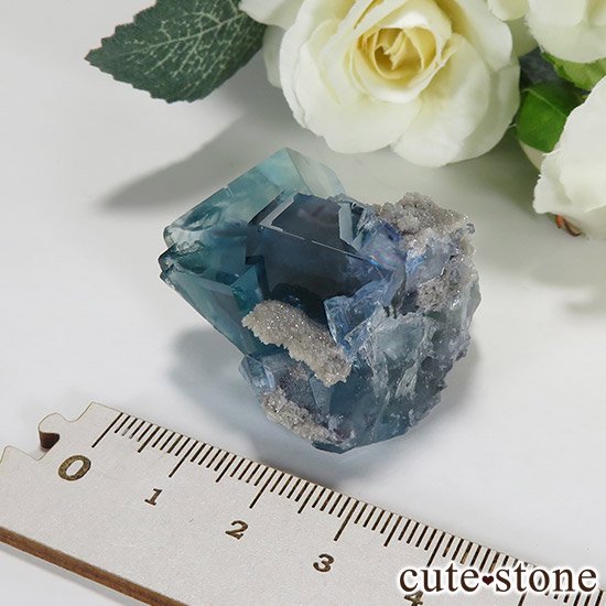  ʻ ֥롼꡼ե饤ȤɸܡʸС34.5gμ̿4 cute stone