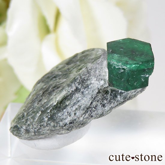 ѥ ȻդɤθСɸܡˤμ̿0 cute stone