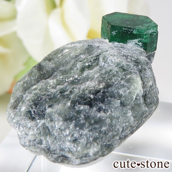 ѥ ȻդɤθСɸܡˤμ̿1 cute stone