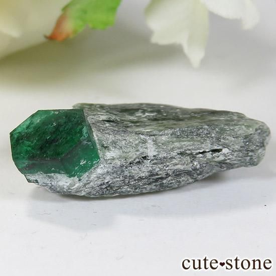 ѥ ȻդɤθСɸܡˤμ̿3 cute stone