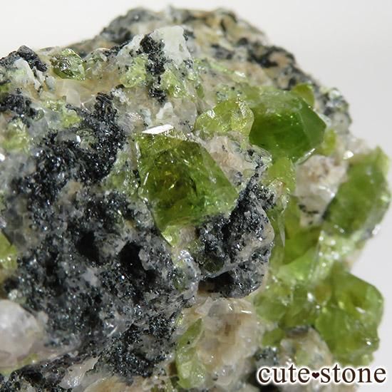 ѥ ɥ եդ 66gμ̿1 cute stone