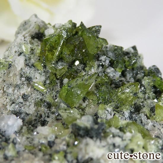 ѥ ɥ եդ 34gμ̿1 cute stone